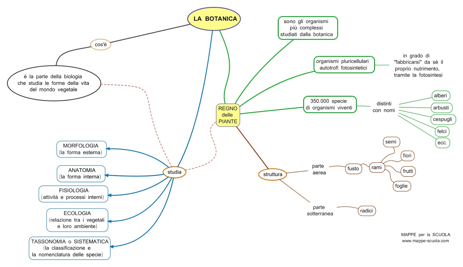 Mappa Concettuale Botanica Materiale Per Scuola Media Materia Scienze